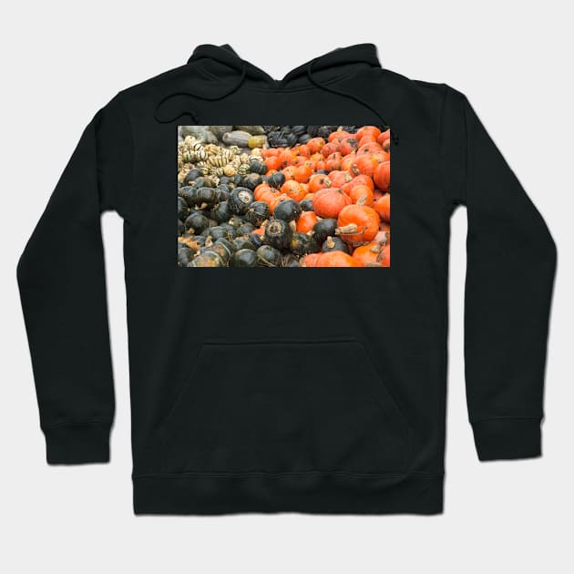 pumpkin varities Hoodie by sma1050